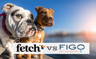 Two dogs standing on wooden dock on lake (Caption: Fetch by The Dodo vs FigoFetch by The Dodo vs Figo logos)