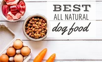 ingredients for pet food holistic top view on wooden background (Caption: Best All Natural Dog Food)