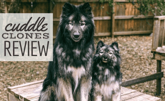 Dog next to cuddle clone (Caption: Cuddle Clones Review)