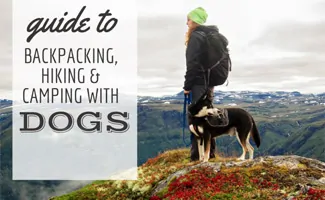 Woman camping with dog and backpack (caption: Guide to backpacking, hiking, and camping with dogs)