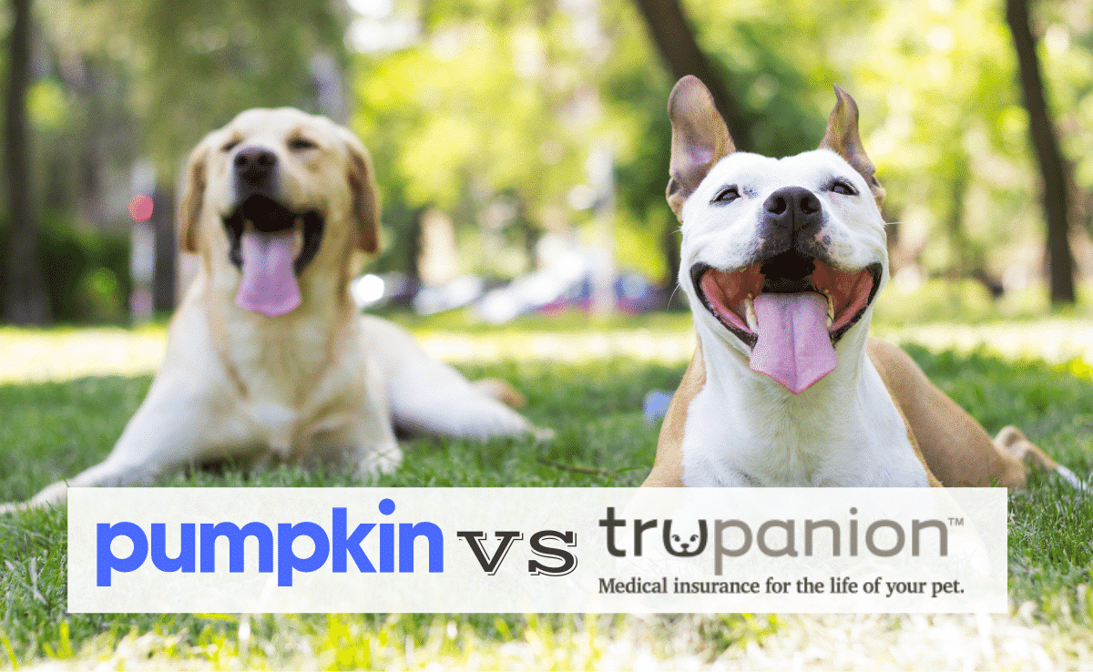 2 dogs sitting in the grass smiling (Caption: Pumpkin vs Trupanion logos)