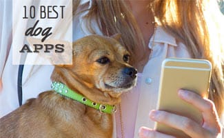 10 best dog apps