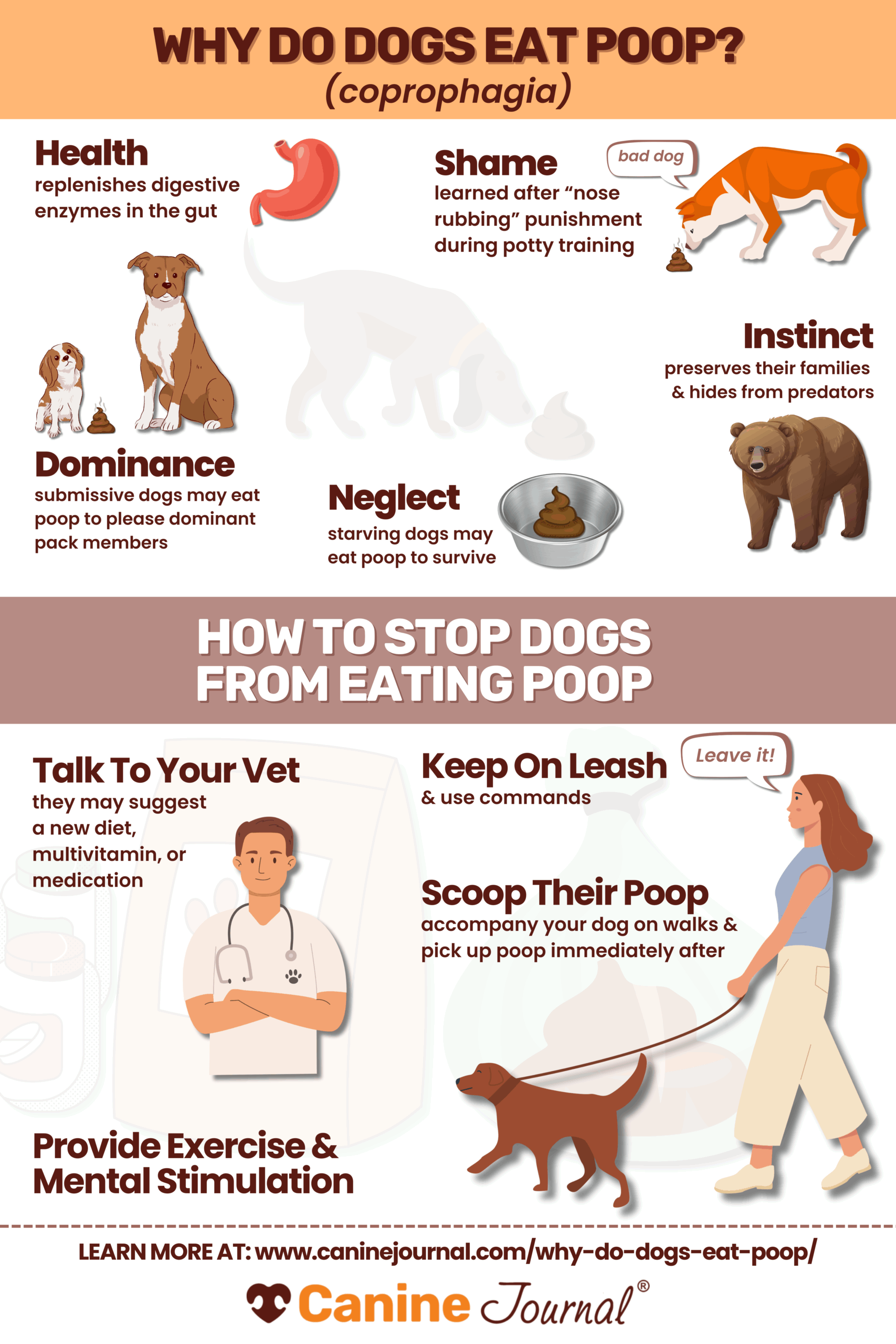 why do dogs eat poop