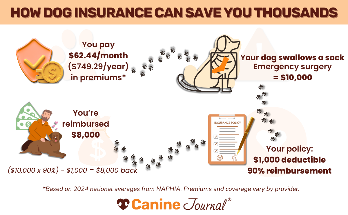 insurance can save you thousands