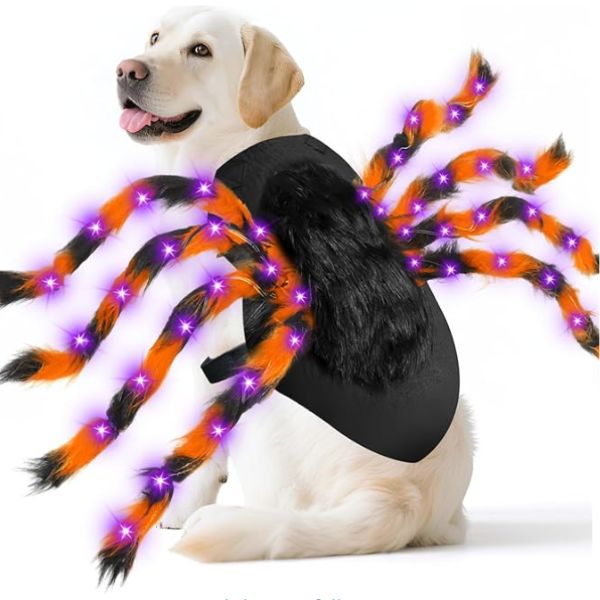 Dog spider costume product.