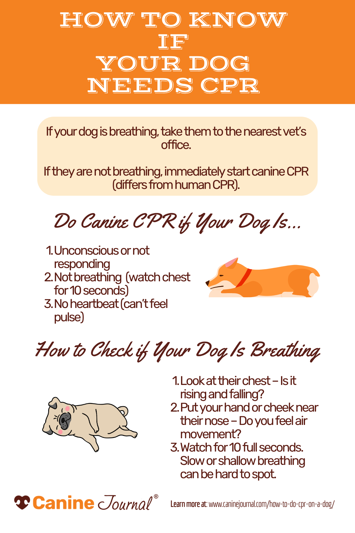 Does my dog need CPR - infographic.