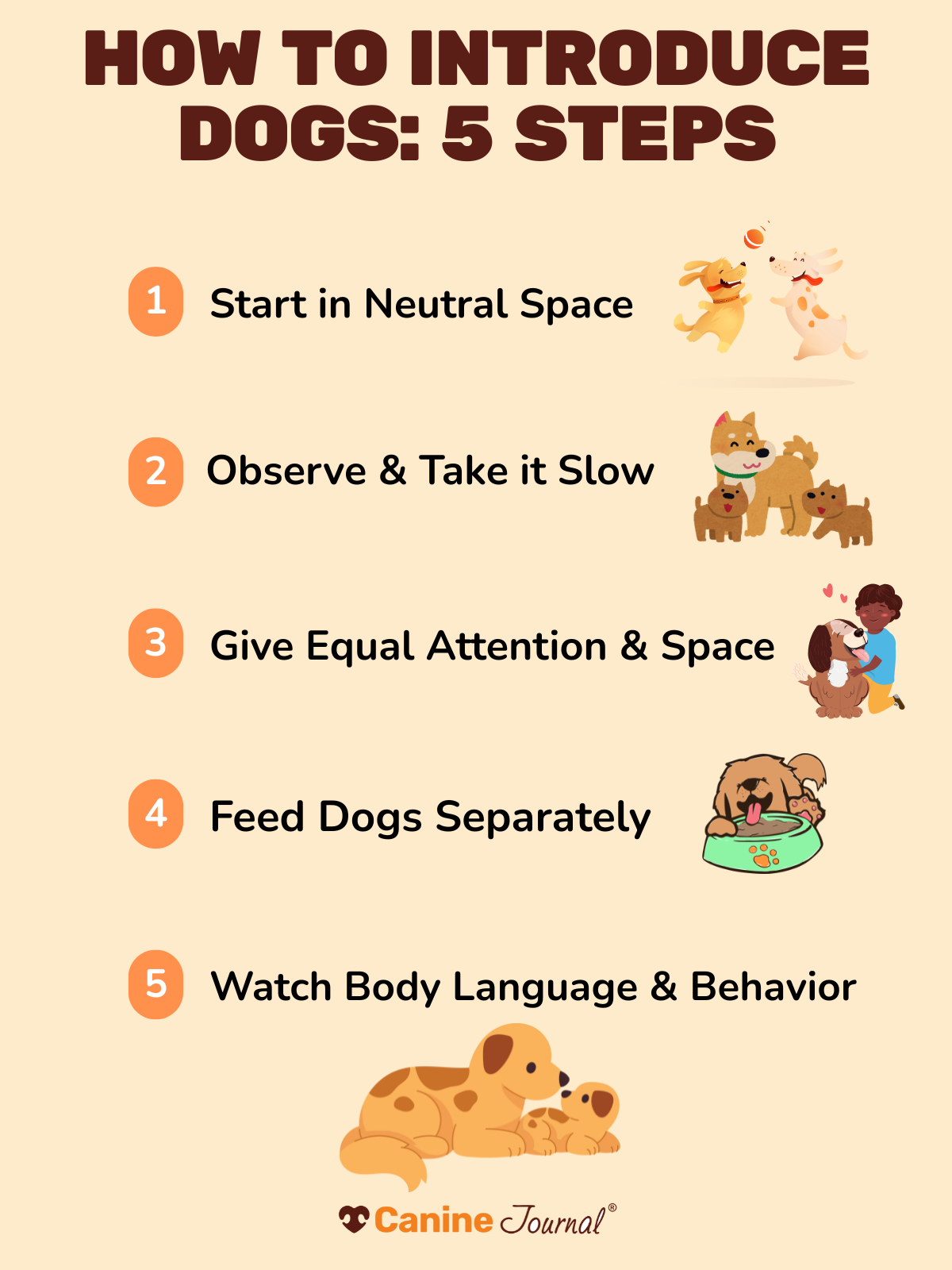 Graphic with 5 steps to introduce dogs