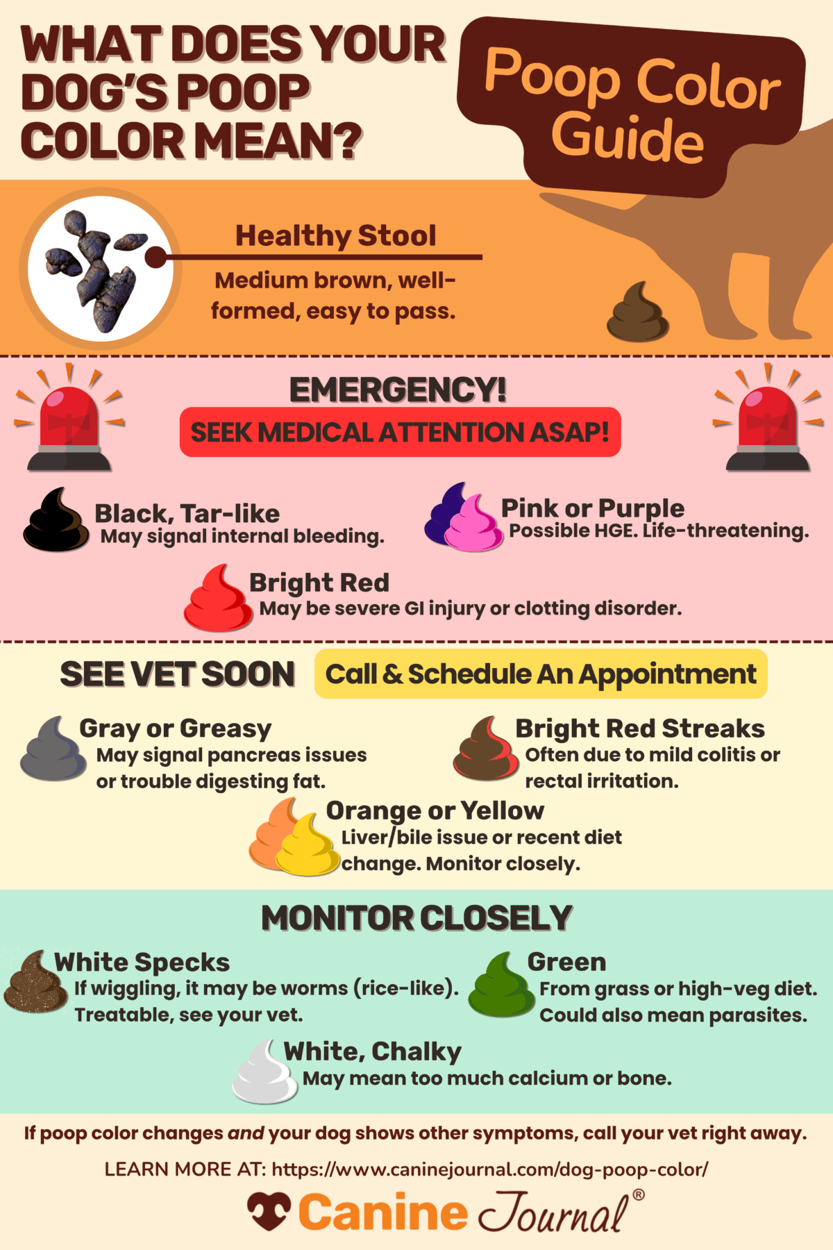 What does your dog’s poop color mean