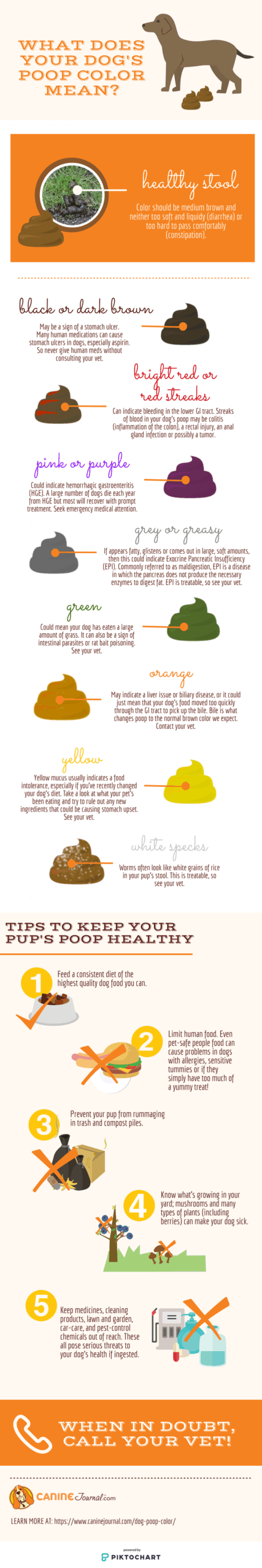 dog poop infographic