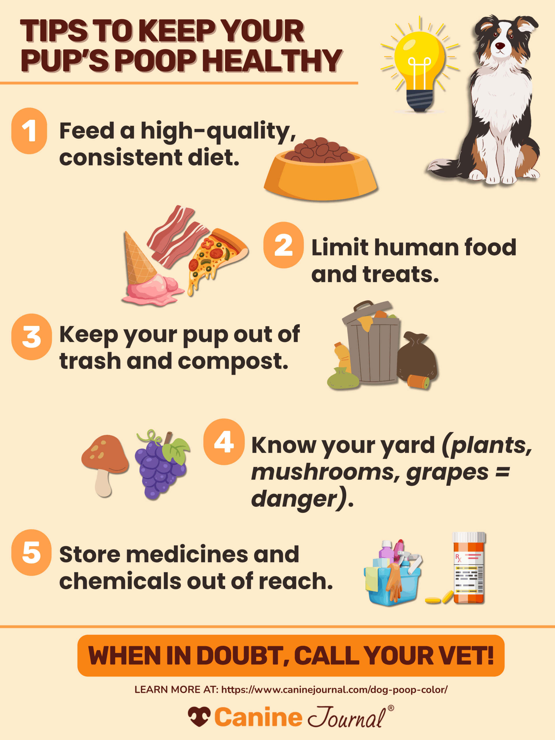 tips to keep your pup's poop healthy