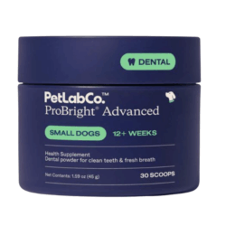 petlabco probright dental powder