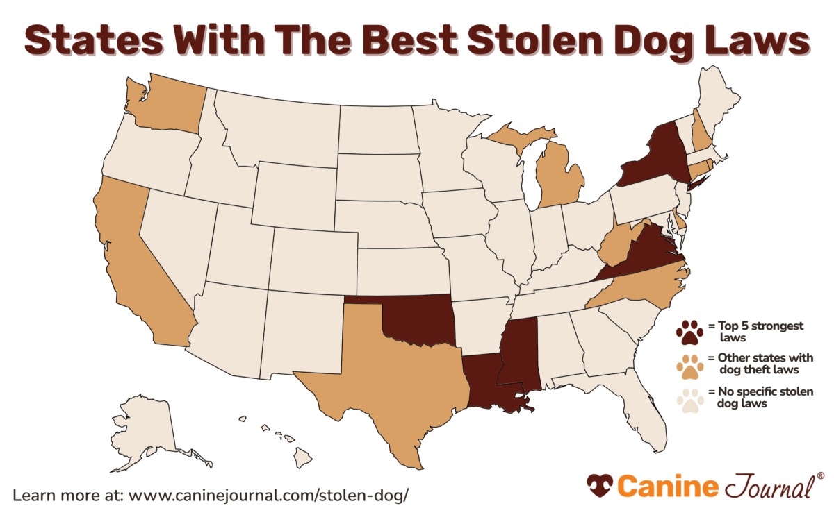 United States map showing states with dog theft laws. The top five states with the strongest stolen dog laws—Virginia, Louisiana, Oklahoma, New York, and Mississippi—are shaded in dark brown. Additional states with dog theft laws, including California, Rhode Island, Connecticut, Delaware, Oregon, Washington, Rhode Island, Michigan, and Texas, are shaded in tan. All other states are shown in light beige with no specific stolen dog laws.