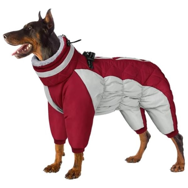 Sunfura full dog body suit for cold-weather product.