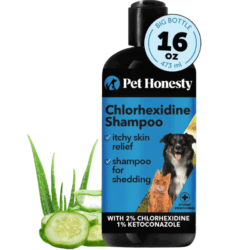 Pet honesty chlorhexidine shampoo.