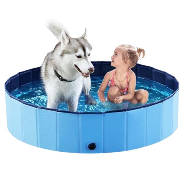 Jasonwell Dog Pool, to help cool down a panting dog.
