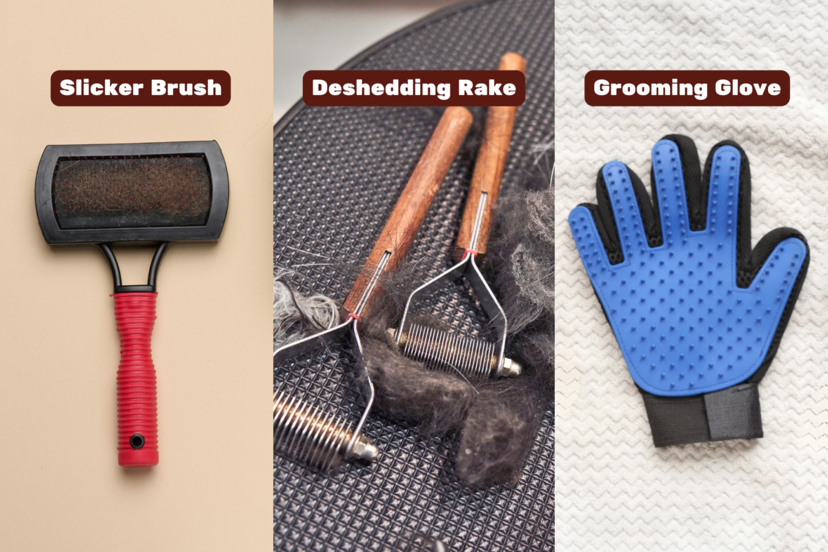 Grooming tools (slicker brush, rake, and grooming gloves).