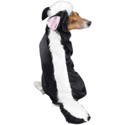 casual canine lil stinker dog skunk costume