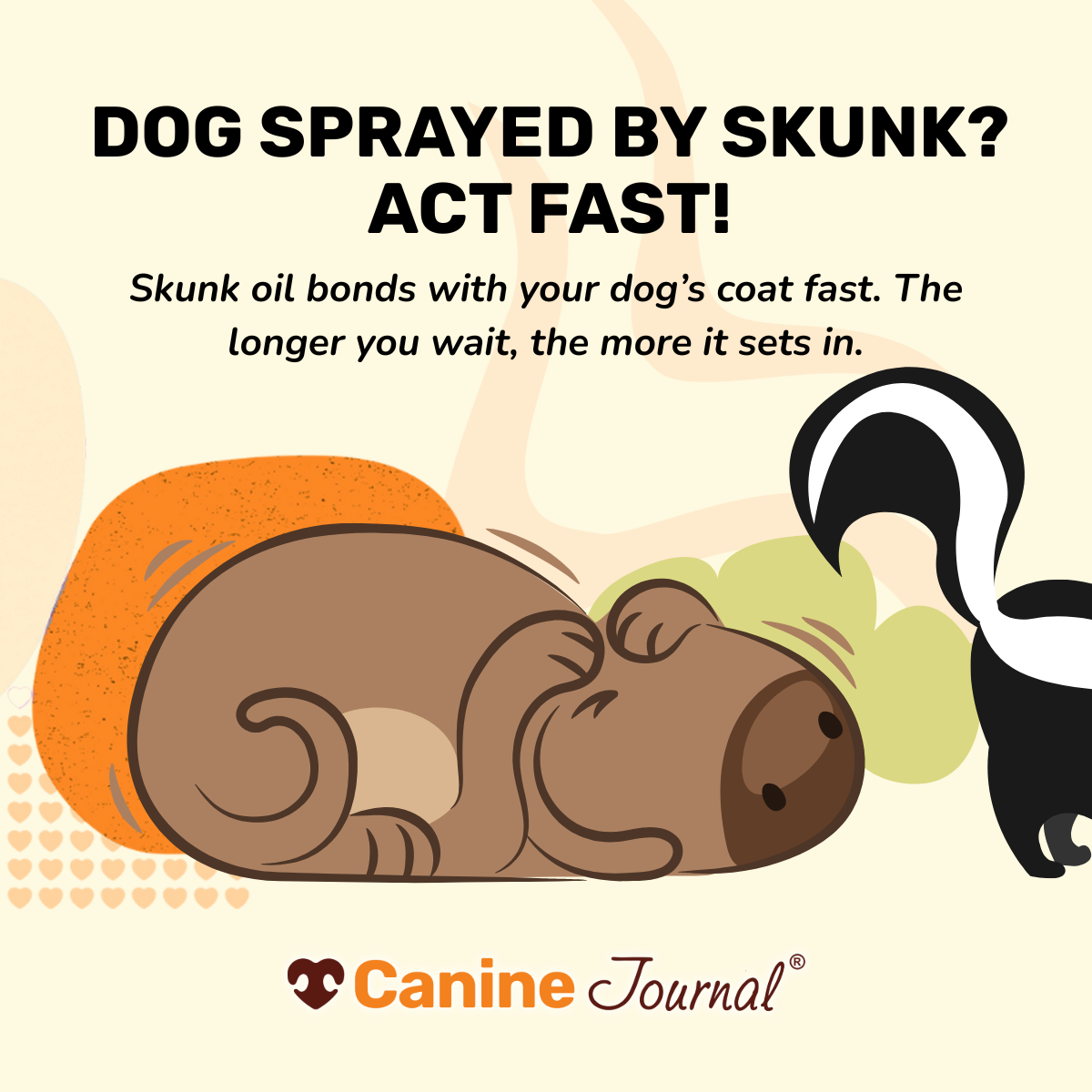 dog sprayed by skunk graphic