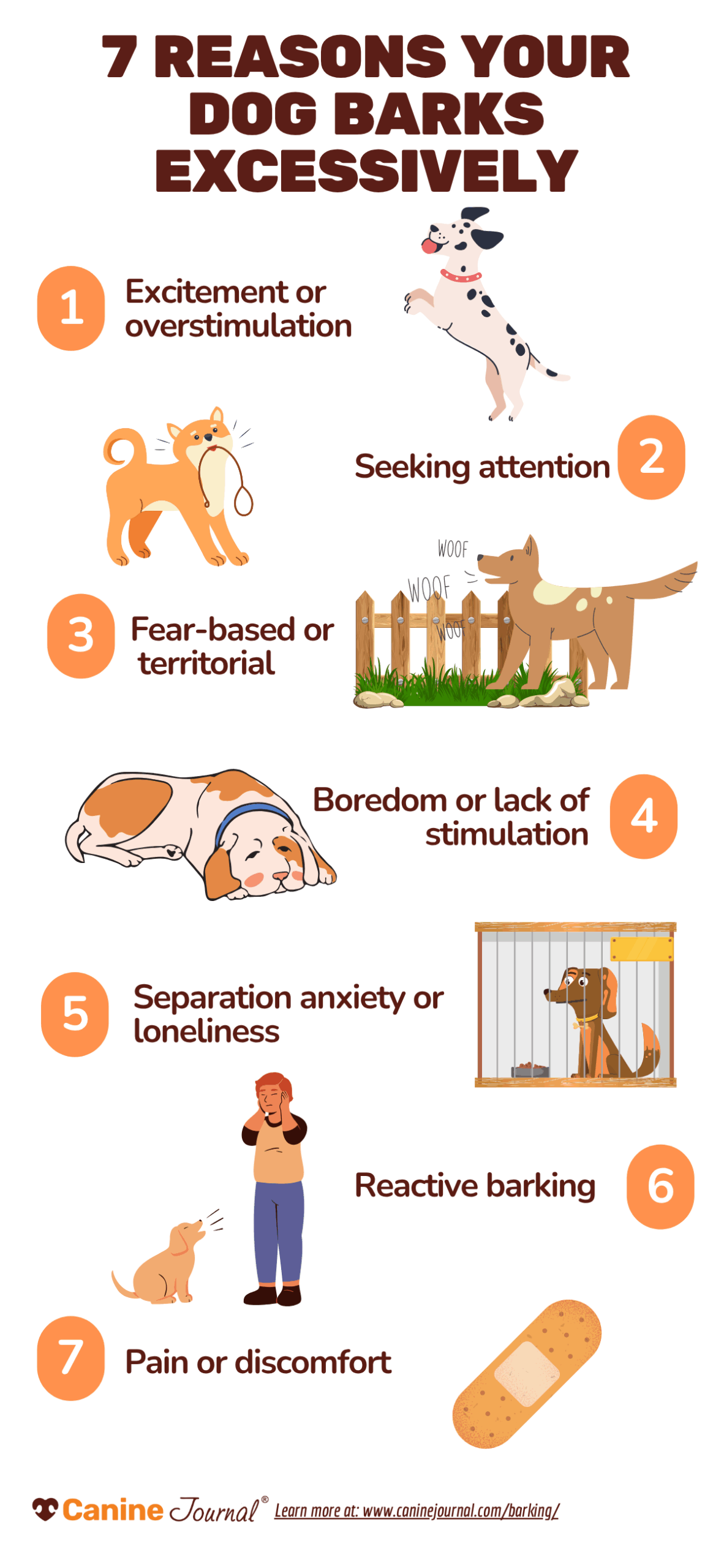 7 reason for excessive barking infographic CJ
