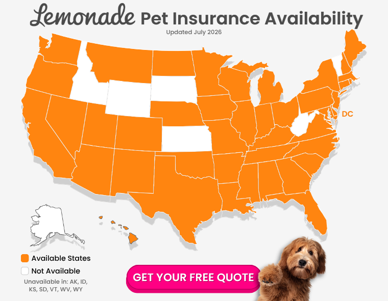 lemonade pet insurance availability july 2026
