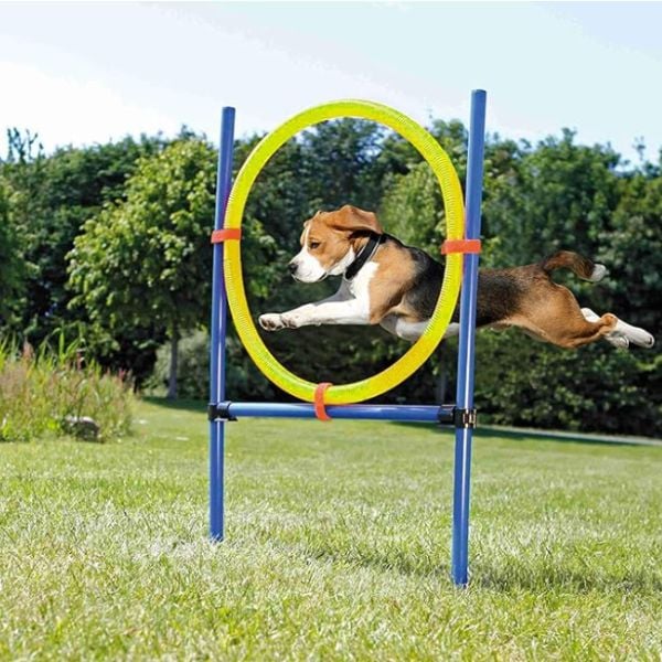 Pet Prime ring jump for dogs product. 
