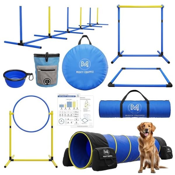 The Mighty Equipped Store's dog agility starter kit product. 