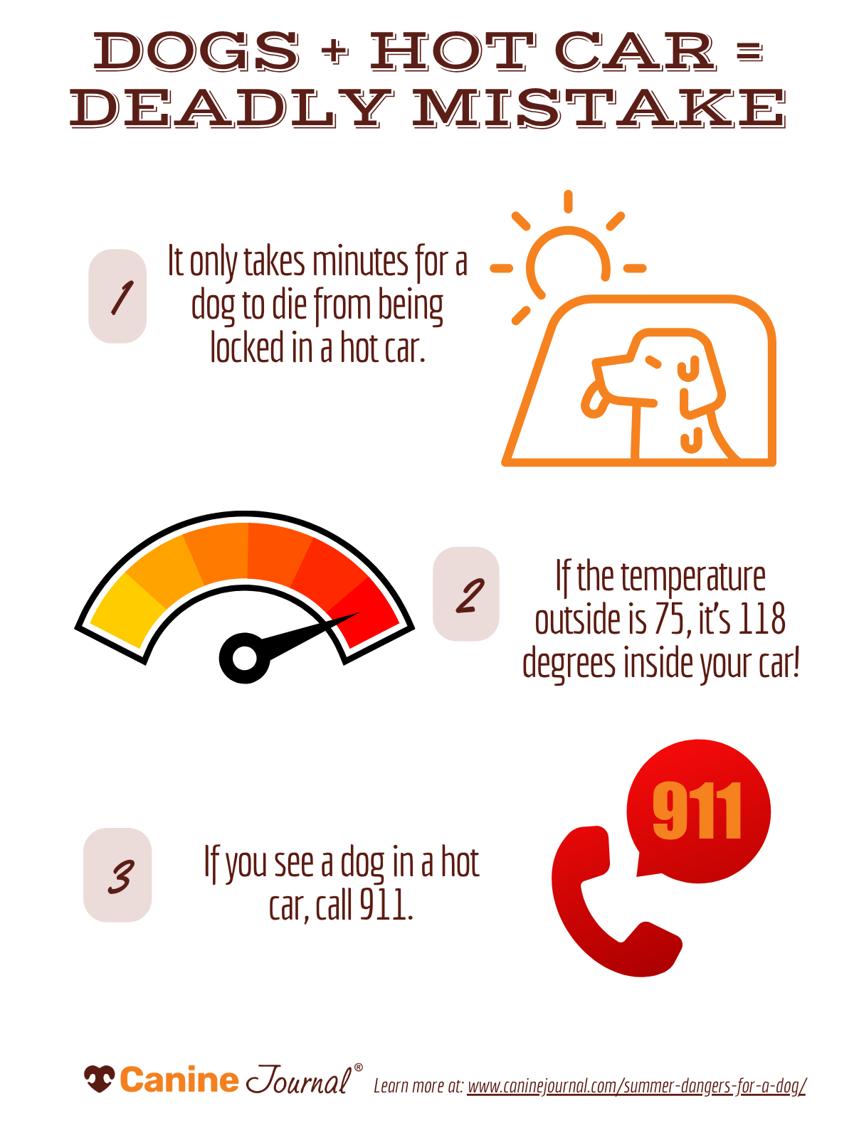 dog in car overheat infographic CJ