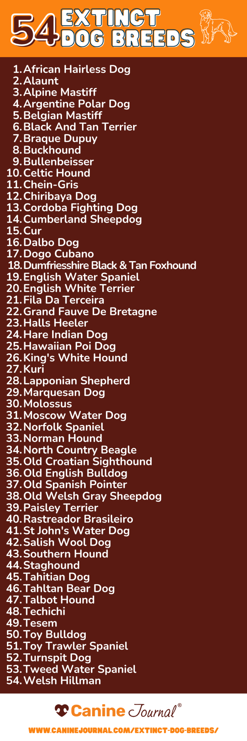 Extinct dog breeds CJ infographic list.
