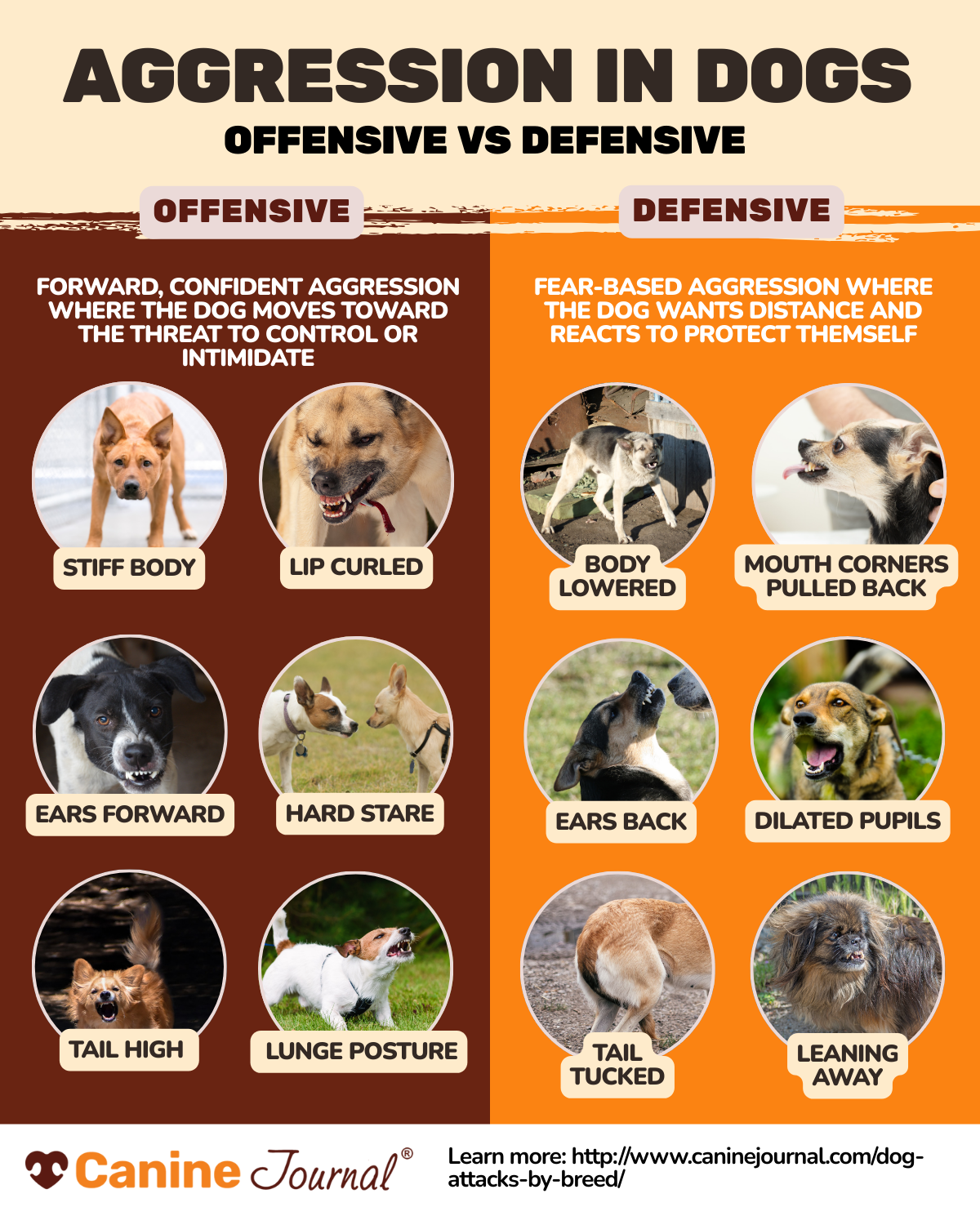 offensive vs defensive aggression infographic