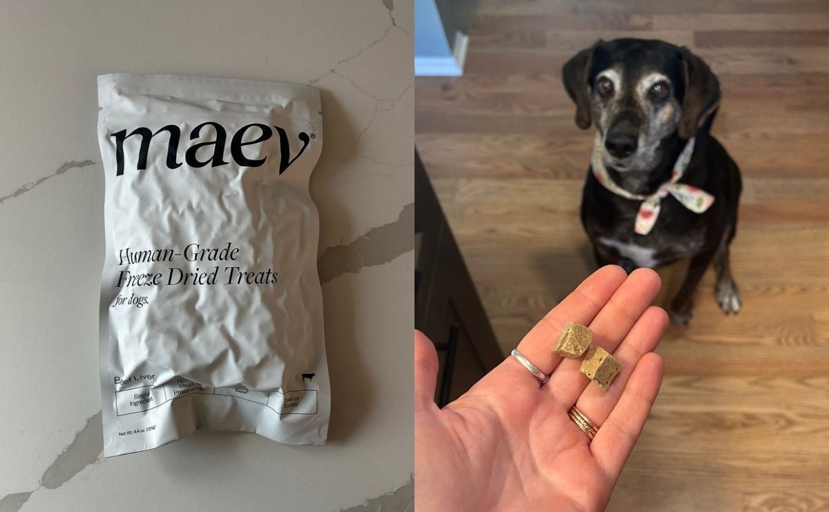 maev freeze dried treats with sally