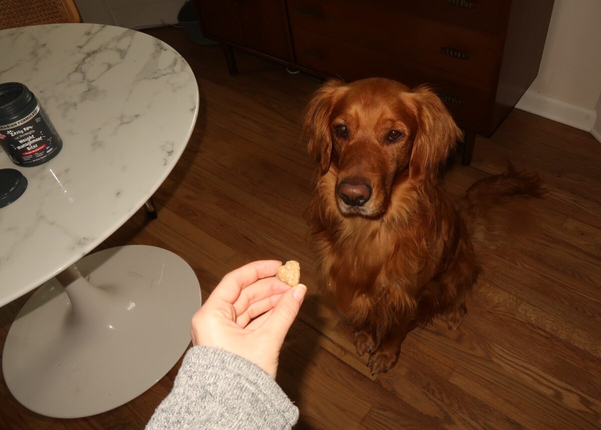 rio waiting for zesty paws weight management bite