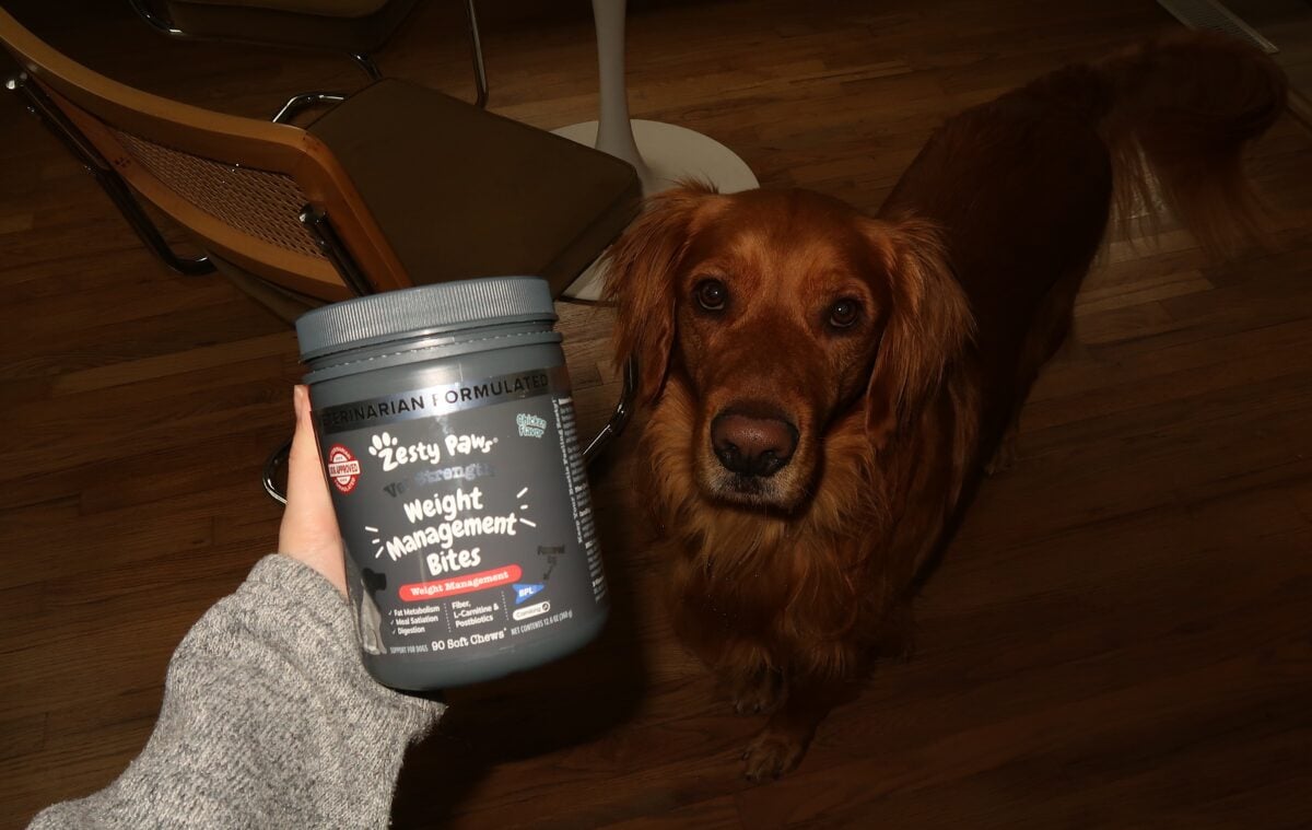 rio with zesty paws weight managemant bites
