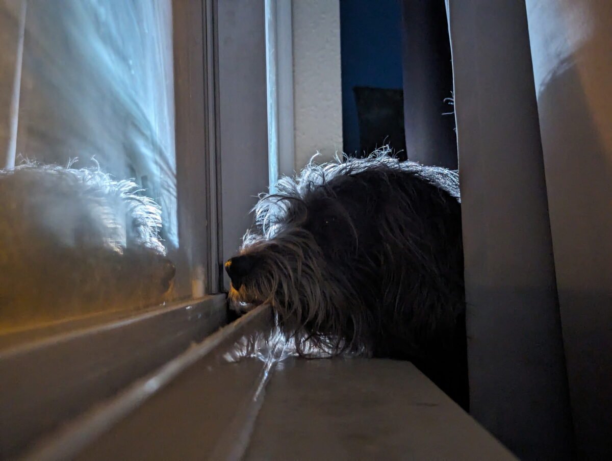 Falkor ghosts