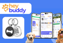 heybuddy featured image