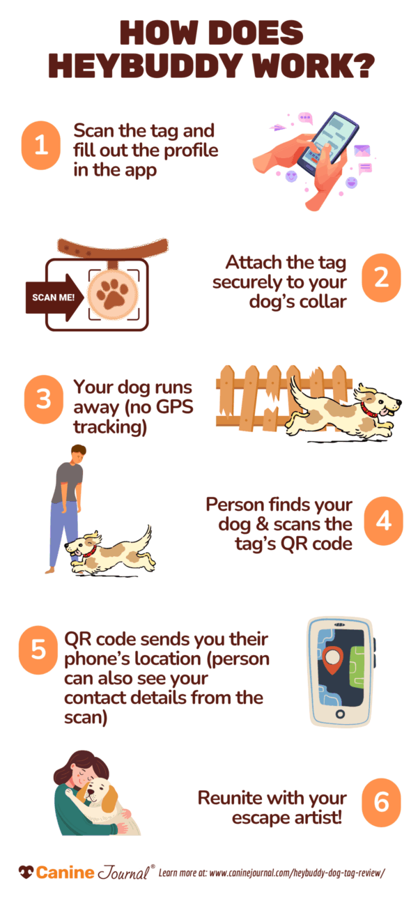 HeyBuddy infographic about how it works. Scan the tag and fill out the profile in the app. Attach the tag securely to your dog's collar. Your dog runs away (no GPS tracking). Person finds your dog & scans the tag's QR code. The code sends you their phone's location. Reunite with your escape artist.