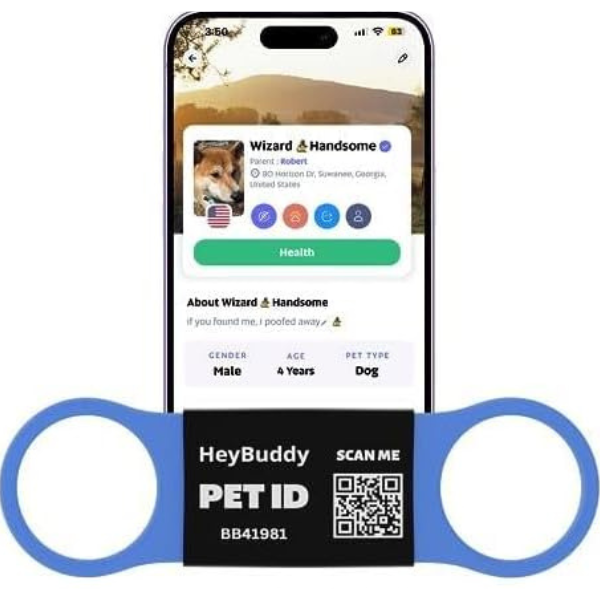HeyBuddy slide tag