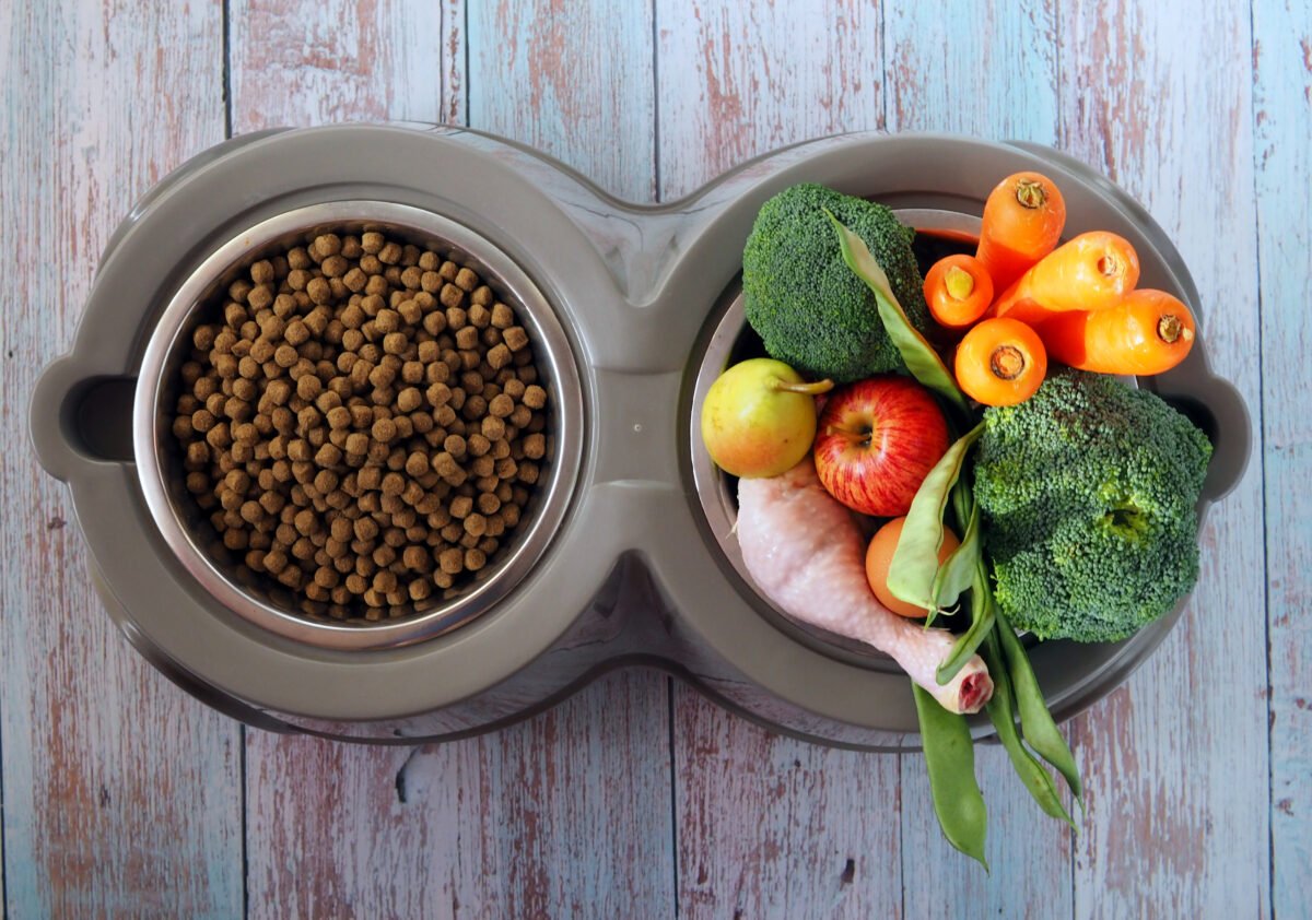 Natural raw food in a bowl as opposite of dry dog feed.