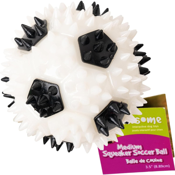 Gnawsome Squeaker Soccer Ball