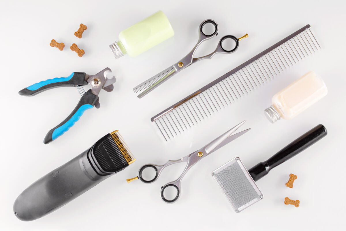 Grooming equipment for animals and treats like bones, flat lay.