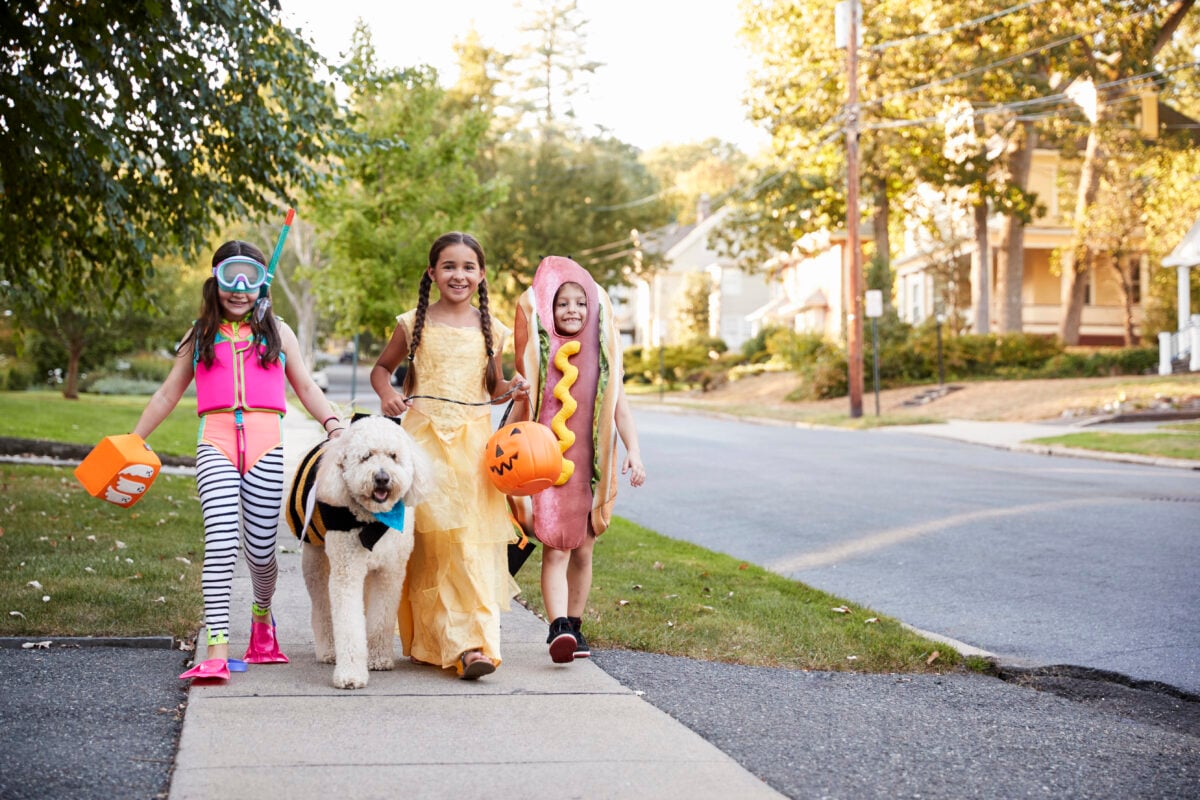Children And dog In Halloween costumes for trick or treating.