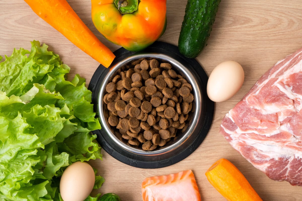 Dry pet dog food with natural ingredients. Raw meat, fish, vegetables, eggs and salad near bowl with dry pet food on wooden background.