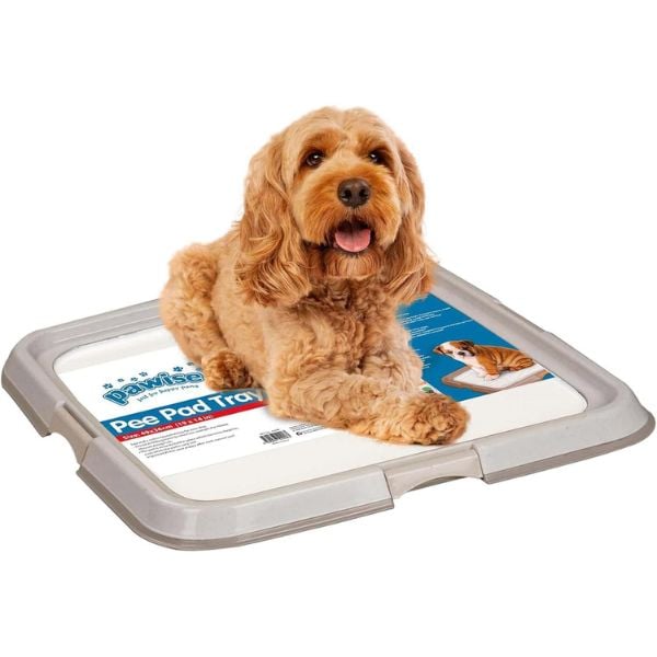 Pawise Dog Pee Pad Holder