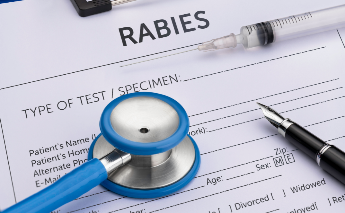 A rabies medical form at doctors office.