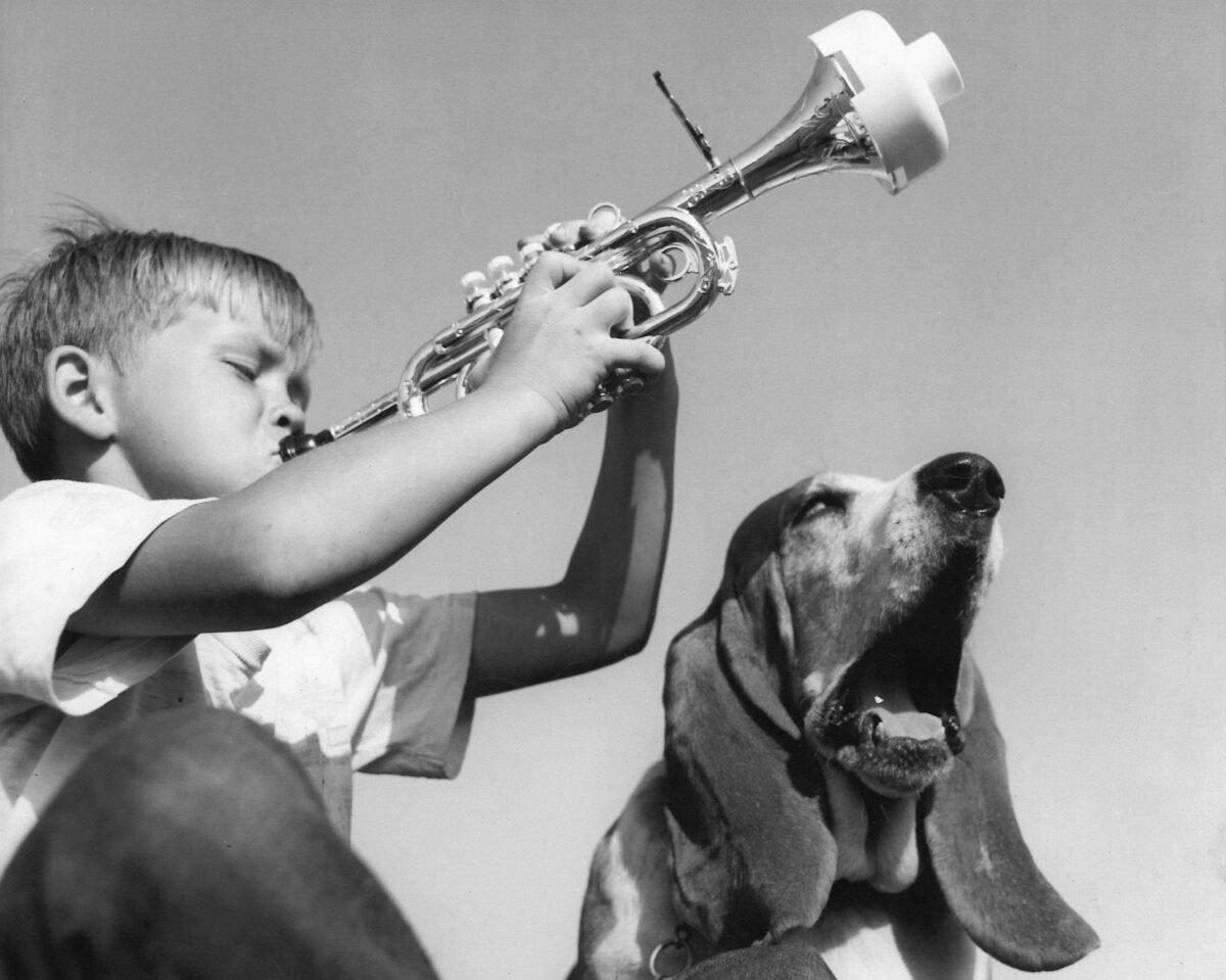 Boy playing trumpet with dog howling.
