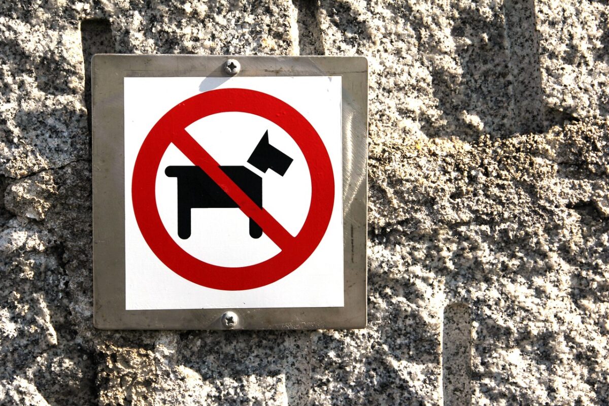 No dogs sign mounted  on a brick wall. 