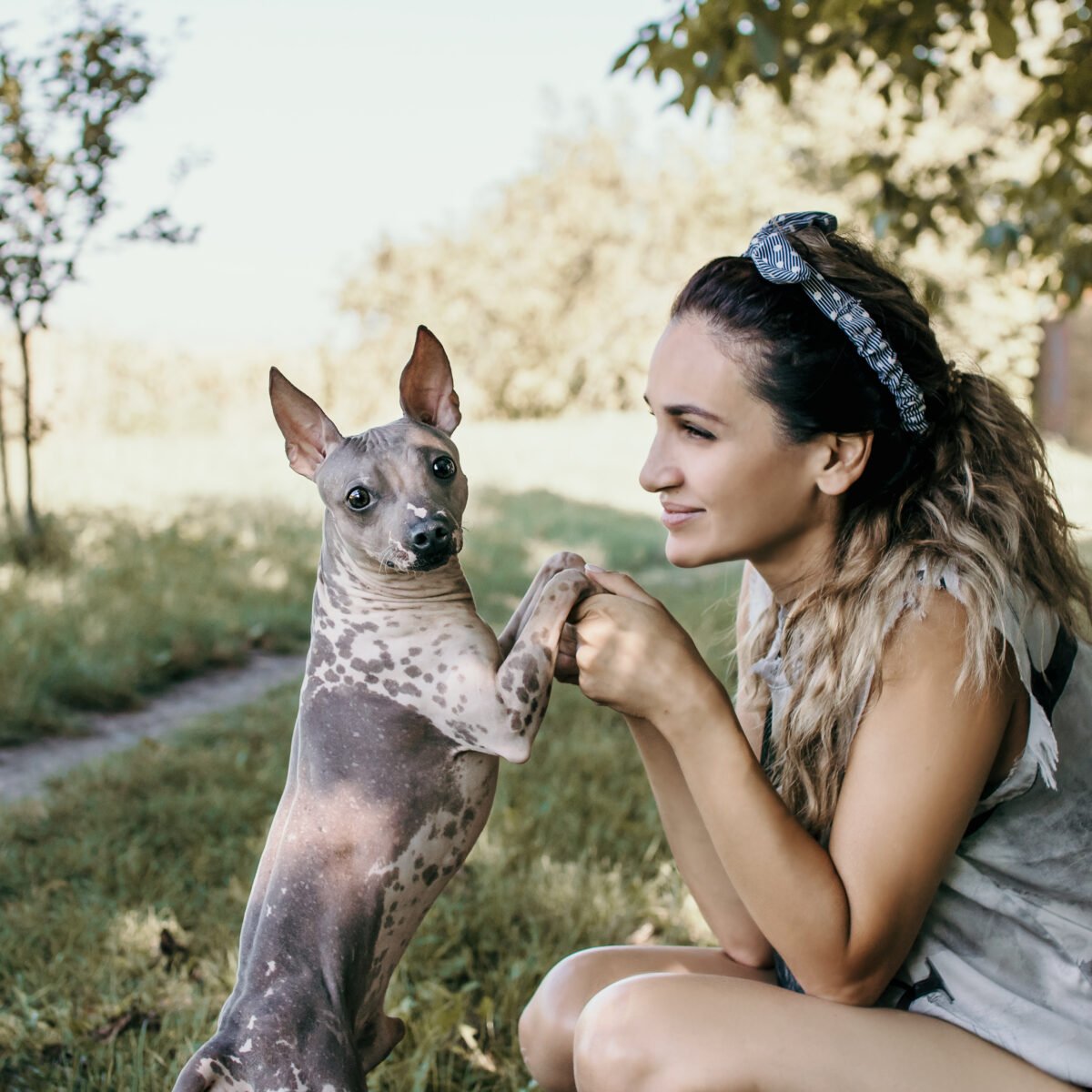 Woman holds dog (American hairless terrier) by the paws. The dog is looking into the frame.