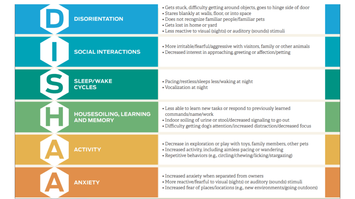 dishaa poster screenshot