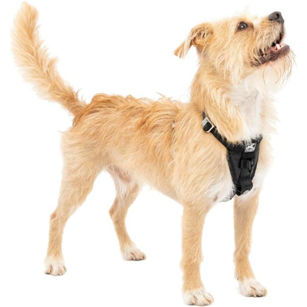 Kurgo Tru-Fit Smart Harness