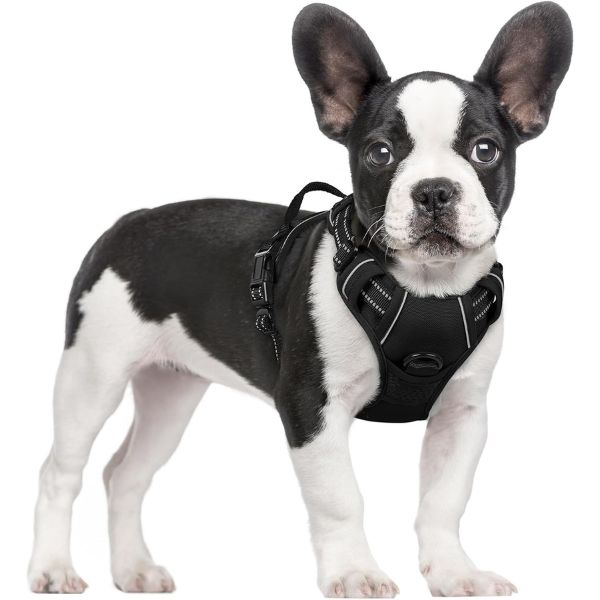 Rabbitgoo No-Pull Reflective Dog Harness