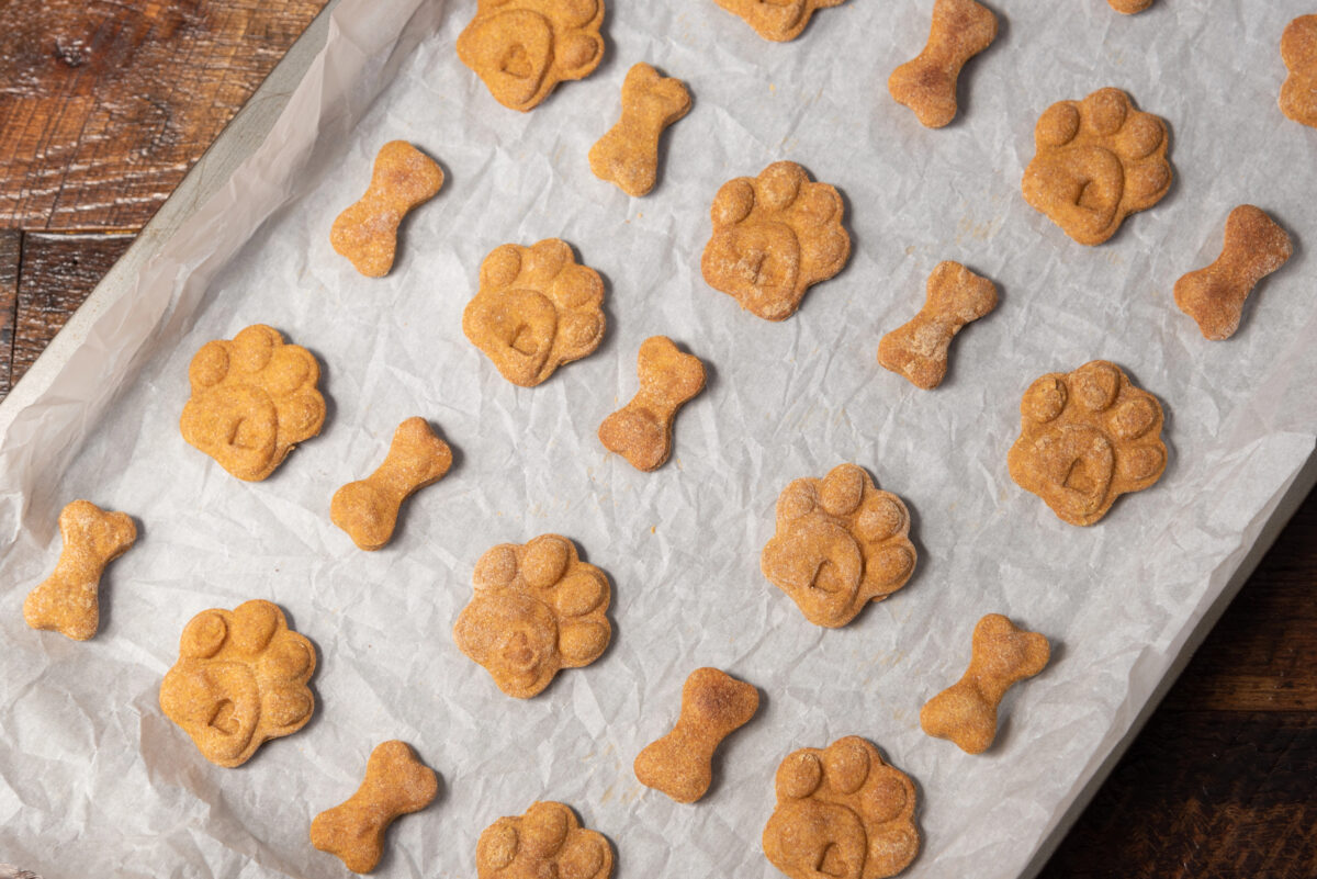 Rows of bone and paw print shaped sweet potato dog treats on a parchment paper lined baking pan.